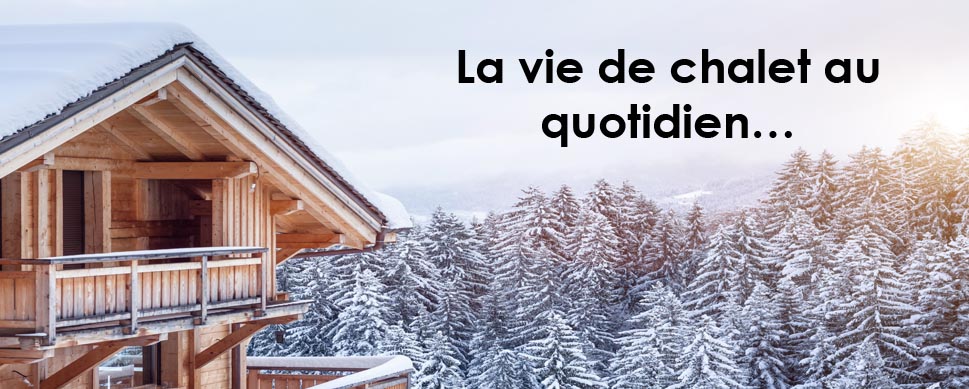 Conditions de travail du Centre de services scolaire des Laurentides Conditions de travail du Centre de services scolaire des Laurentides